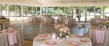 Wedding – Babsfontein