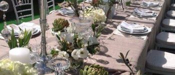 Greenhouses & Aloe’s – Wedding Sandton – 8 Feb 2017
