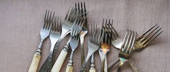 What the fork? A guide to dinner forks